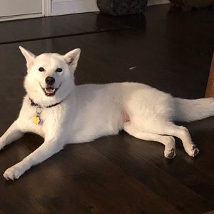 Meet your Posher, Dorell